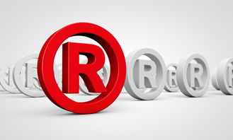 缺少互联网基因的商标代理机构，终究会被市场淘汰