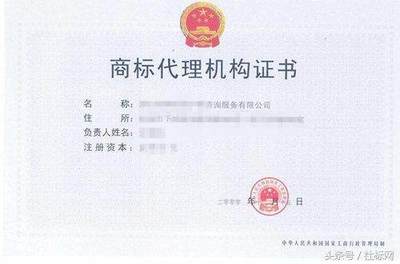 商标代理不可替代 驳斥“放开申请即无需代理”的谣言